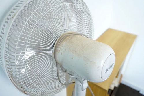 拜拜了空調(diào)，這臺風(fēng)扇親測后我就沒關(guān)過